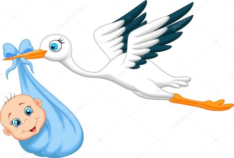 depositphotos_33880381-stock-illustration-stork-with-baby